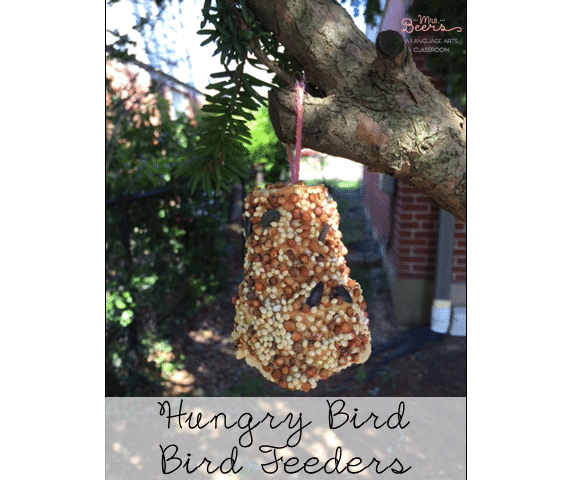 earth day bird feeders