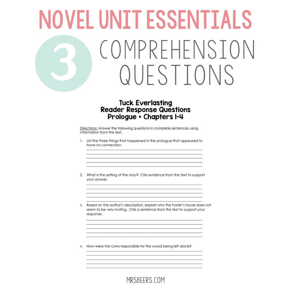 novel unit comprehension questions