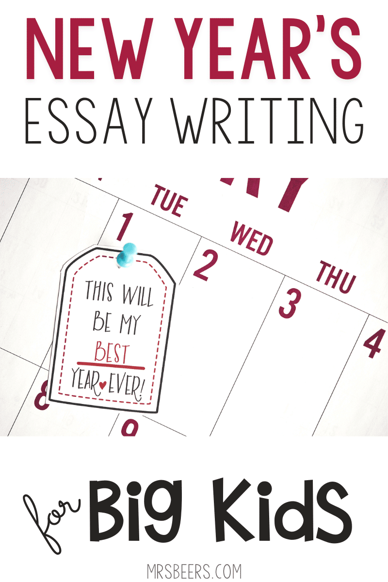 essay my new year resolution