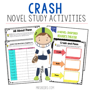 Crash novel study activities