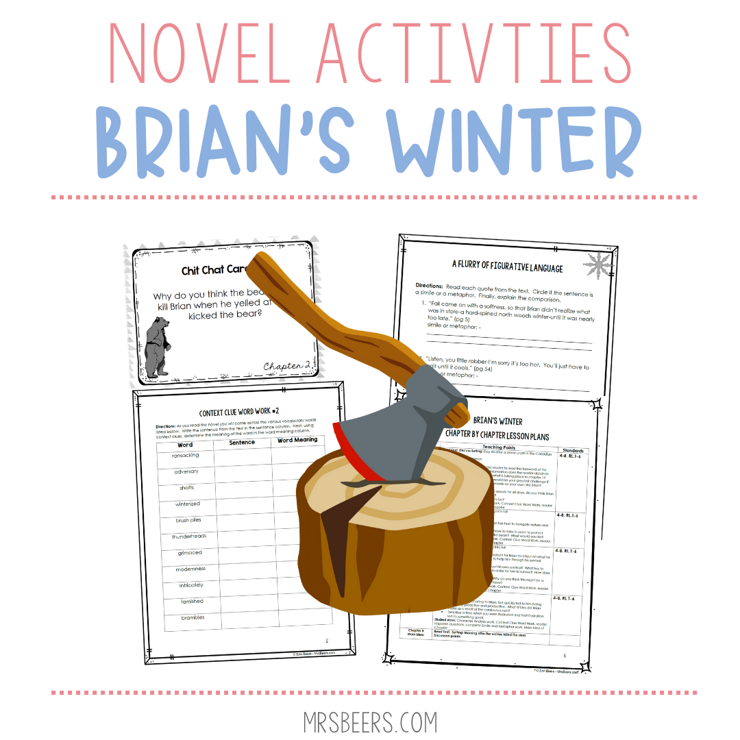 Brian’s Winter Novel Study Activities