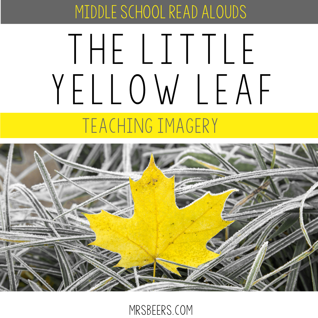 The Little Yellow Leaf – Middle School Read Alouds